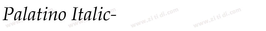 Palatino Italic字体转换